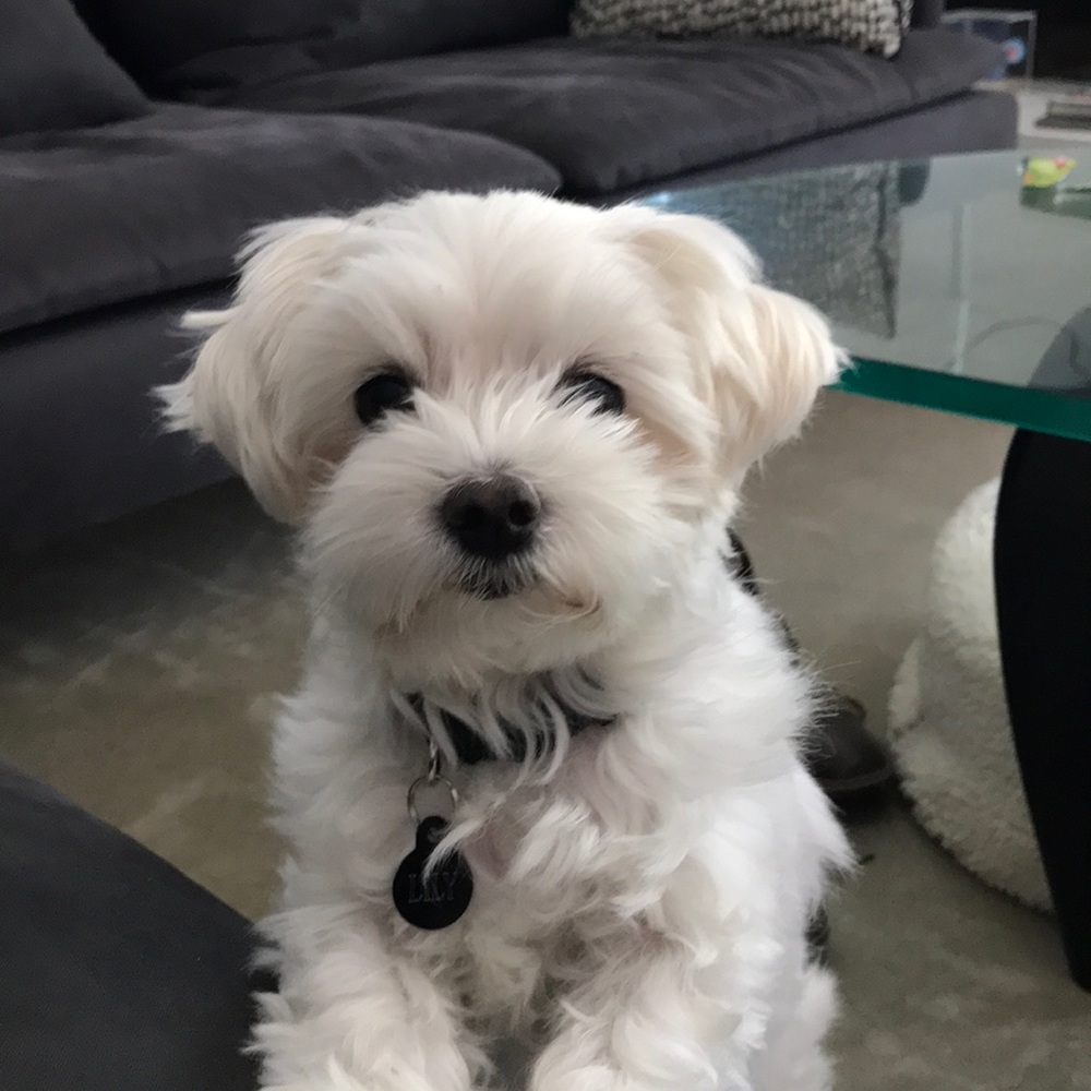 Meet your Posher, Mar